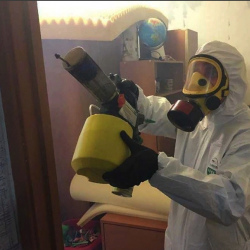 Уничтожение клопов в квартире. Горняк